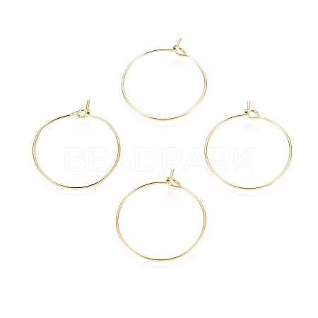 Ion Plating(IP) 316L Surgical Stainless Steel Hoop Earring Findings X-STAS-D164-02G-A-1