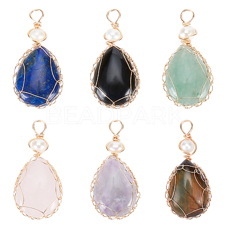  6Pcs 6 Styles Natural Gemstone Copper Wire Wrapped Pendants G-NB0003-75-1