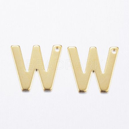 304 Stainless Steel Charms STAS-P141-W-1