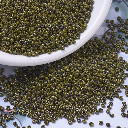 MIYUKI Round Rocailles Beads SEED-G010-RR4519-1