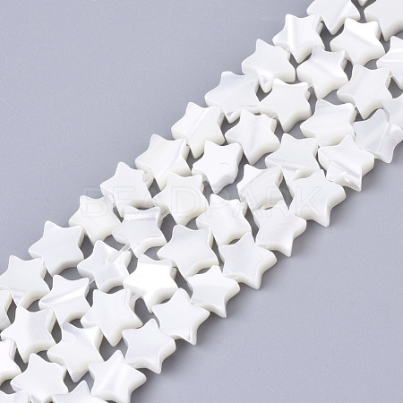 Natural Trochid Shell/Trochus Shell Bead Strands SSHEL-N034-68A-1
