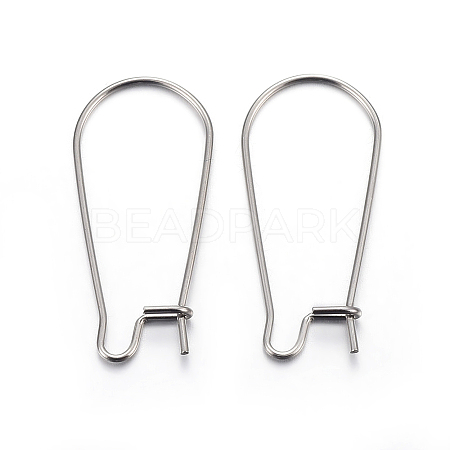 Tarnish Resistant 304 Stainless Steel Hoop Earring Findings LS-STAS-P223-01P-04-1