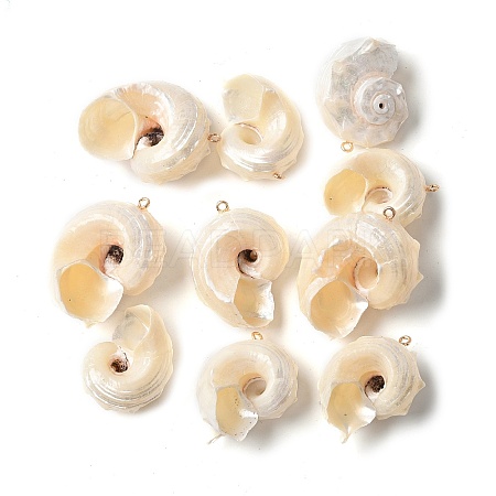 Natural Sea Shell Pendants SSHEL-C013-03-1