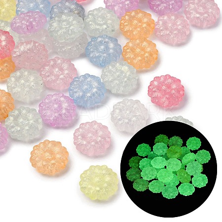 Luminous Transparent Acrylic Beads LACR-S001-15D-1