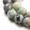 Natural Hackmanite Sodalite Beads Strands G-Z063-A03-02-4