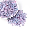 Transparent Spray Painted Glass Seed Beads SEED-L011-10A-19-1