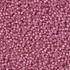 MIYUKI Round Rocailles Beads SEED-JP0009-RR0556-4