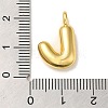Brass Pendants KK-K354-01G-J-3