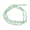 Natural Green Strawberry Quartz Beads Strands G-G106-A12-01-2