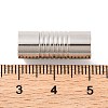 Tarnish Resistant 304 Stainless Steel Magnetic Clasps with Glue-in Ends STAS-E006-40-3