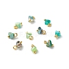 Electroplate Glass Charms PALLOY-JF00821-06-1