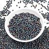 MIYUKI Round Rocailles Beads SEED-JP0009-RR0401FR-4