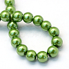Baking Paint Pearlized Glass Pearl Round Bead Strands HY-Q003-6mm-13-4