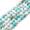 Natural Magnesite Beads Strands G-L555-02C-02-2