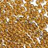 Glass Seed Beads X1-SEED-H002-A-A622-4