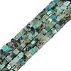 Natural African Turquoise(Jasper) Beads Strands G-B129-A20-01-1