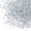 Plated Glass Seed Beads SEED-S016-03-3