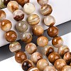 Natural Wood Lace Stone Wooden Jasper Beads Strands G-B128-A04-05-1