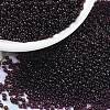 MIYUKI Round Rocailles Beads X-SEED-G009-RR2402-1