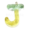 Resin Pendant FIND-Q107-01J-02-1
