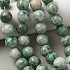 Natural Green Spot Jasper Beads Strands G-F818-A05-14mm-1