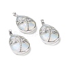 Opalite Pendants G-G900-01P-05-1