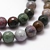 Natural Indian Agate Beads Strands X-G-D840-51-12mm-3