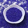 MIYUKI Delica Beads SEED-X0054-DB0216-2