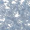 Glass Seed Beads SEED-H002-E-A1415-3