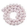 Electroplated Shell Pearl Beads Strands BSHE-G041-10mm-06-4