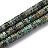 Natural African Turquoise(Jasper) Beads Strands G-Z006-C40-2