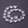 Glass Bead Strands X-GLAA-R196-24x20mm-01-2