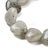 Natural Labradorite Beads Strands G-B022-32C-3