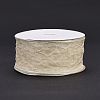 20 Yards Polyester Mesh Ribbon SRIB-P021-E07-2