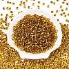 6/0 Baking Paint Transparent Fringe Glass Seed Beads SEED-N006-06C-2