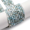 Natural Larimar Beads Strands G-F803-B01-01-2
