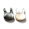 Natural Black Lip Shell Beads SHEL-G014-06A-3