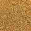 TOHO 15/0 Round Beads X-SEED-TR15-0162-2