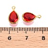 K9 Glass Charms GLAA-T023-10B-3