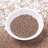 MIYUKI Delica Beads SEED-X0054-DB1221-2