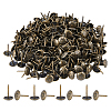 400Pcs Iron Nails IFIN-FH0001-98AB-1