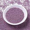 MIYUKI Delica Beads LS-X-SEED-J020-DB0800-2