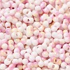 Two Tone Baking Paint Glass Seed Beads SEED-F005-01A-11-3