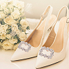 2 Styles Alloy Rhinestone Shoe Decorations FIND-GO0002-24-6