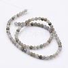 Natural Labradorite Bead Strands G-K152-03-4mm-1