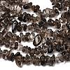 Natural Smoky Quartz Chips Beads Strands F037-4