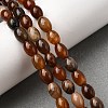 Natural Petrified Wood Beads Strands G-K362-I12-02-1