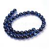 Handmade Silver Foil Lampwork Beads Strands FOIL-L016-C09-2