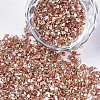 Plated Glass Seed Beads MRMJ-S034-04I-1
