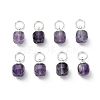 Natural Amethyst Pendants PALLOY-JF05300-01-1